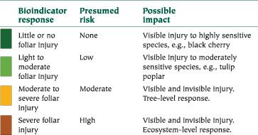 Bioindicator Ozone Bioindicator Plants Eastern Forest Environmental Threat