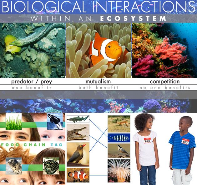 Biological interaction HandsOn Science Using Nature Works WeAreTeachers
