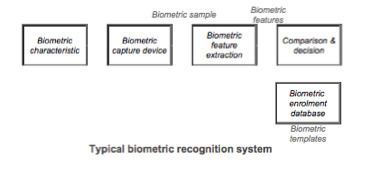 Biometric points