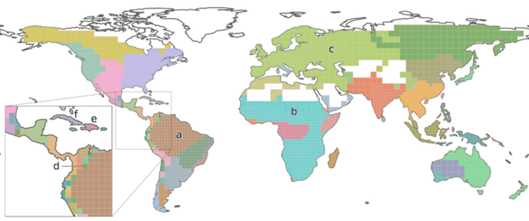 Bioregion Infomap Bioregions Interactive mapping of biogeographical regions