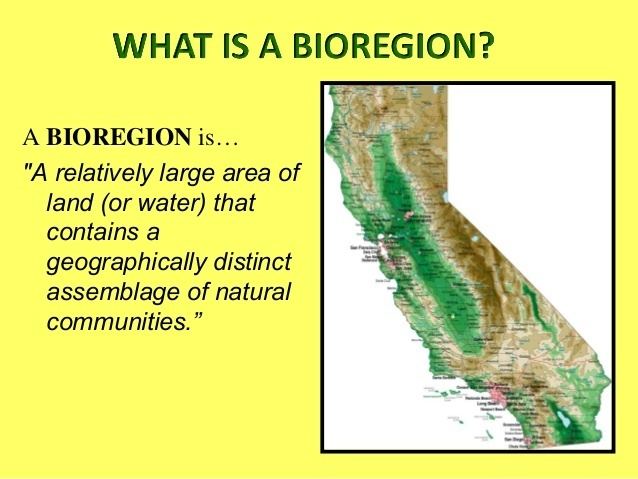 Bioregion California39s Bioregions A BioGeogrphic Overview