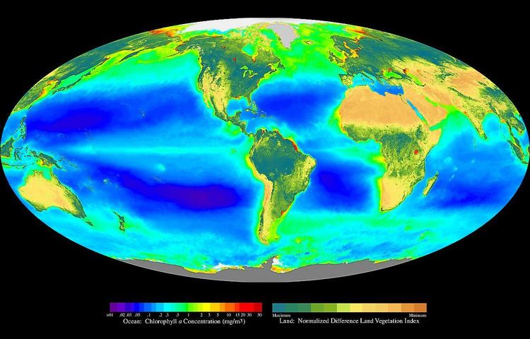 Biosphere httpsuploadwikimediaorgwikipediacommons44