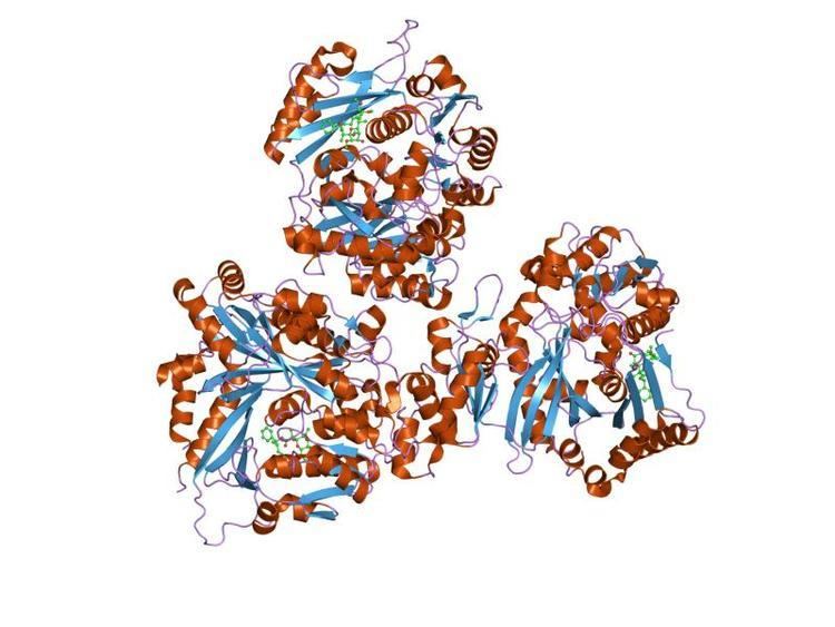 Biotin carboxylase