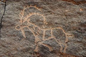 Bir Hima Rock Petroglyphs and Inscriptions httpsuploadwikimediaorgwikipediacommonsthu