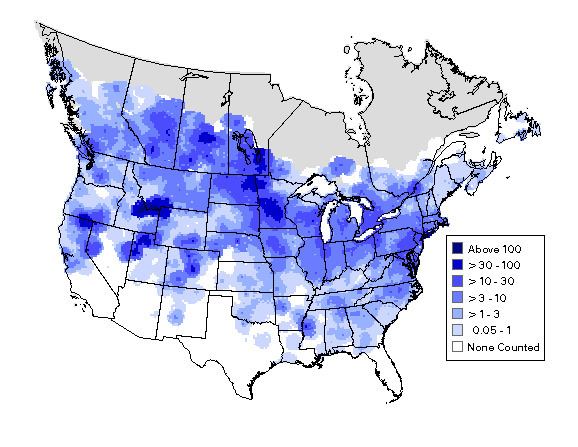 Bird atlas