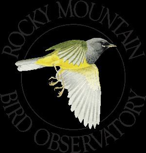 Bird Conservancy of the Rockies httpsoriginihconstantcontactcomfs033110592