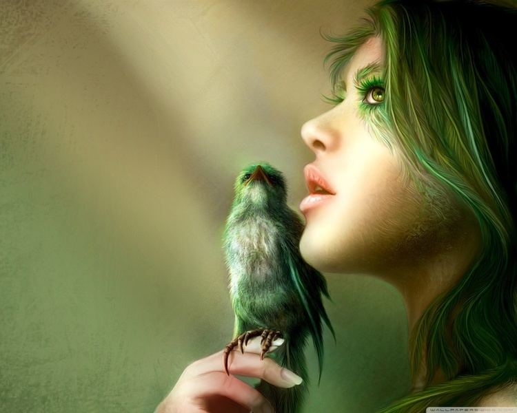 Bird Girl Bird Girl Artwork HD desktop wallpaper High Definition