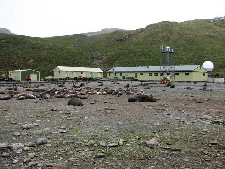 Bird Island, South Georgia httpsuploadwikimediaorgwikipediacommons88