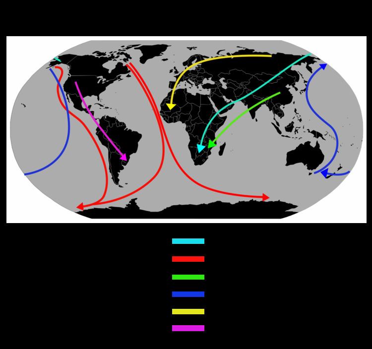 Bird migration perils