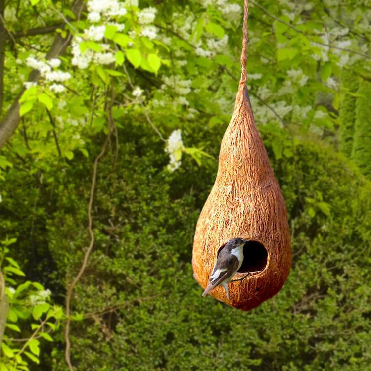 Bird nest handmade natural coir bird nest by plants from seed