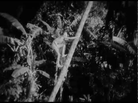 Bird of Paradise (1932 film) Bird of Paradise 1932 Full Movie YouTube
