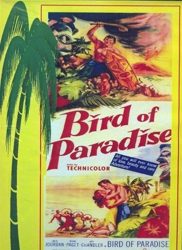 Bird of Paradise (1951 film) Bird of Paradise 1951 DVD Movie