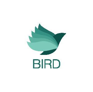 Bird (technology)