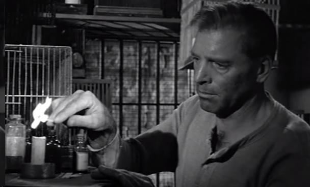 Birdman of Alcatraz (film) movie scenes Birdman of Alcatraz is a problematic film for a few reasons The most obvious is the real Robert Stroud The film wants to show prison as problematic and 