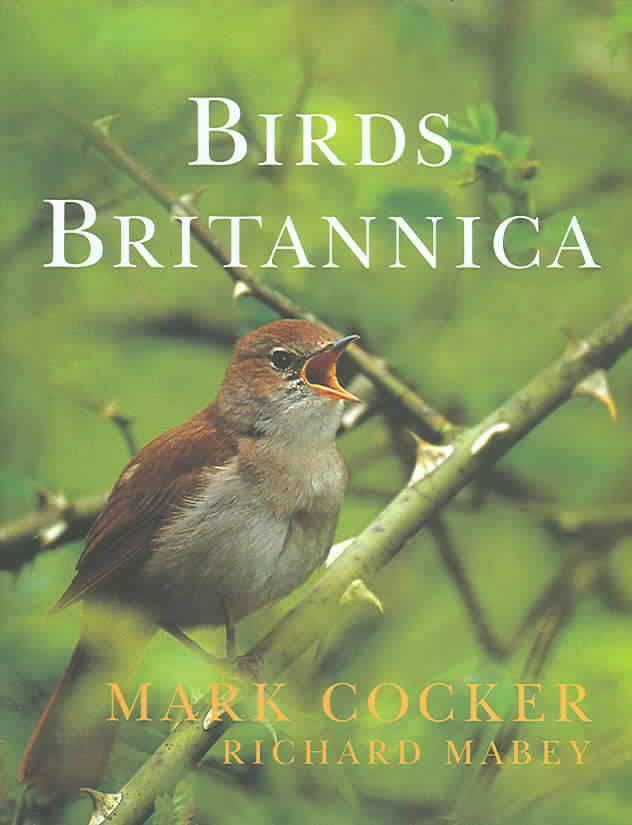 Birds Britannica t2gstaticcomimagesqtbnANd9GcThFkkifucrd3JP