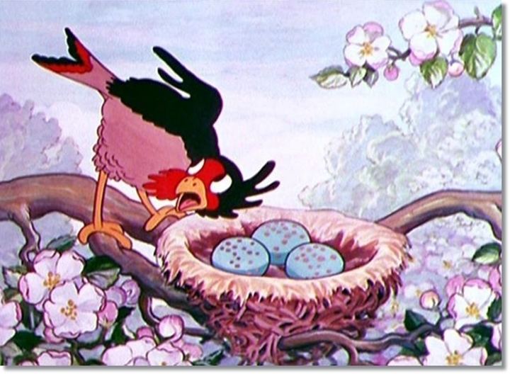 Birds in the Spring Birds in the Spring Dr Grobs Animation Review