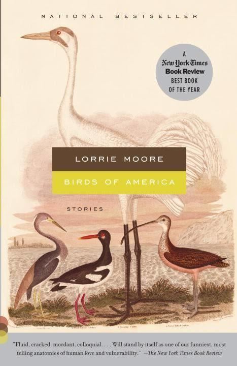 Birds of America (stories) t2gstaticcomimagesqtbnANd9GcQgxzobg6KnSnA2iq