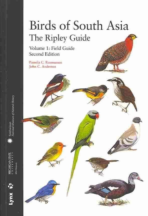Birds of South Asia. The Ripley Guide t3gstaticcomimagesqtbnANd9GcQAJYdFQvD1CuwwPs