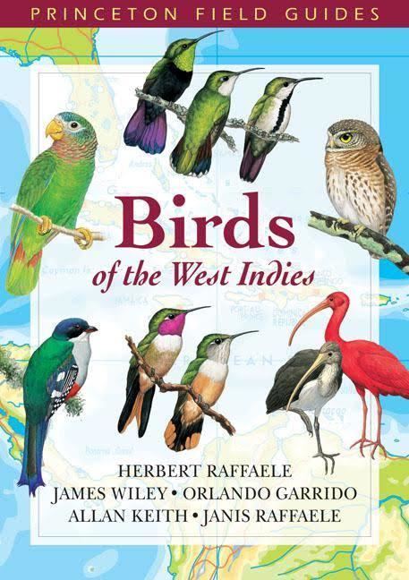 Birds of the West Indies t2gstaticcomimagesqtbnANd9GcQLsRiJgRyaEAmaN