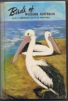 Birds of Western Australia httpsuploadwikimediaorgwikipediaenthumbd
