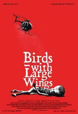 Birds With Large Wings movie poster