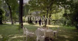 Birdsong (TV serial) Birdsong TV serial Wikipedia
