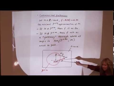 Birge Huisgen-Zimmermann Birge HuisgenZimmermann Representationtame Algebras Need Not be