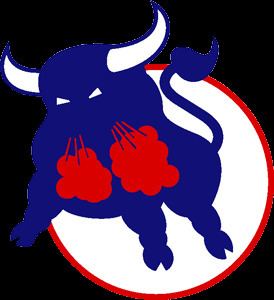 Birmingham Bulls httpsuploadwikimediaorgwikipediaen11eBir