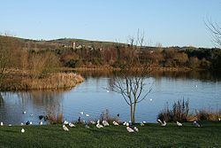 Birnie Loch httpsuploadwikimediaorgwikipediacommonsthu