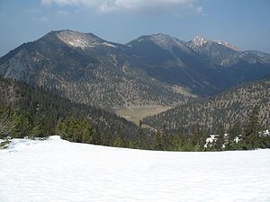 Bischof (mountain) httpsuploadwikimediaorgwikipediacommonsthu
