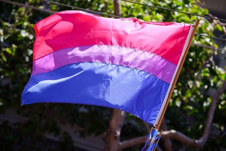 Bisexuality in the United States