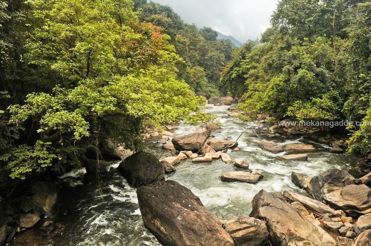 Bisle Bisle Ghat Trekking Mekanagadde Homestay