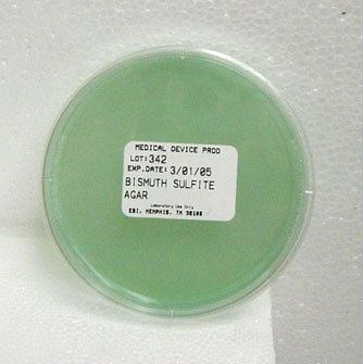 Bismuth sulfite agar Edge Biologicals Dehydrated Culture Media Bismuth Sulfite Agar Bismuth