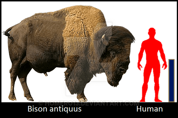 Bison antiquus Bison antiquus by Homero13 on DeviantArt