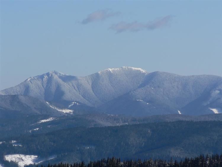 Bistrița Mountains romanianturismcomwpcontentuploads201306olqu