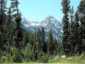 Bitterroot National Forest httpsuploadwikimediaorgwikipediacommonsthu