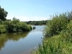 Bityug River httpsuploadwikimediaorgwikipediacommonsthu
