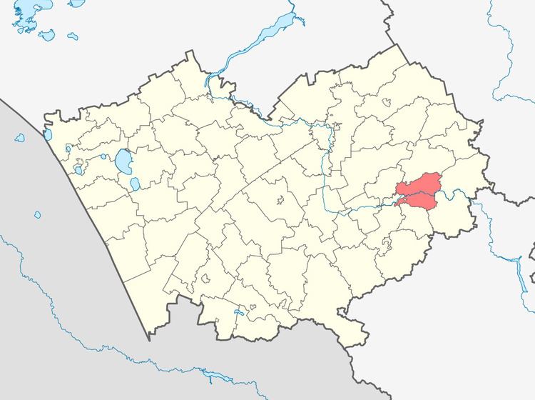 Biysky District