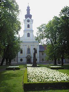 Bjelovar Cathedral httpsuploadwikimediaorgwikipediacommonsthu