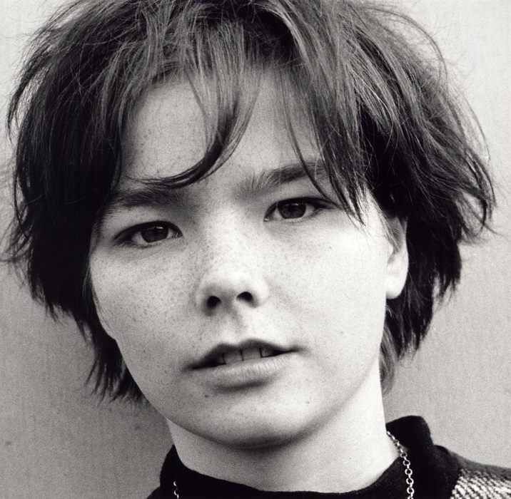 Björk 1000 images about Bjrk on Pinterest Iceland Black and white