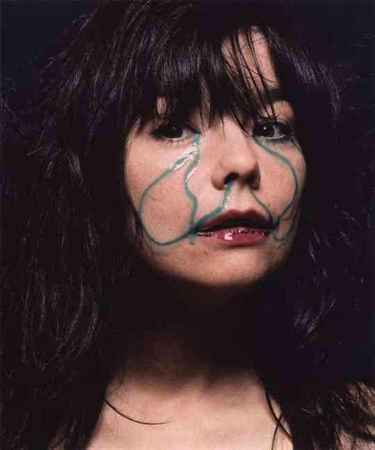 Björk (book) t0gstaticcomimagesqtbnANd9GcTonGvuPxVpHHSJv