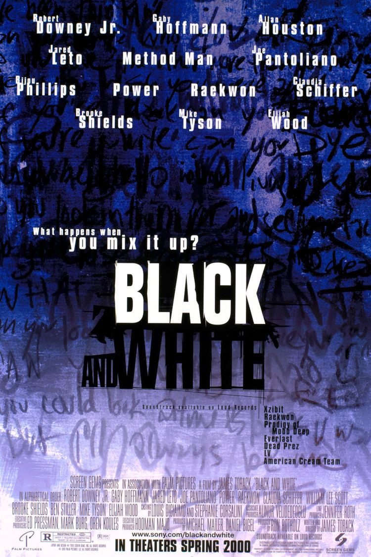 Black and White (1999 drama film) wwwgstaticcomtvthumbmovieposters24021p24021