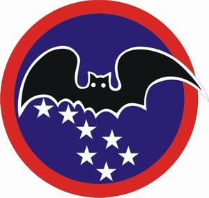Black Bat Squadron