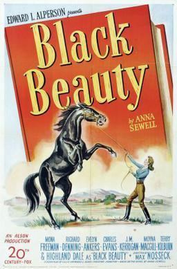 Black Beauty (1946 film) Black Beauty 1946 film Wikipedia