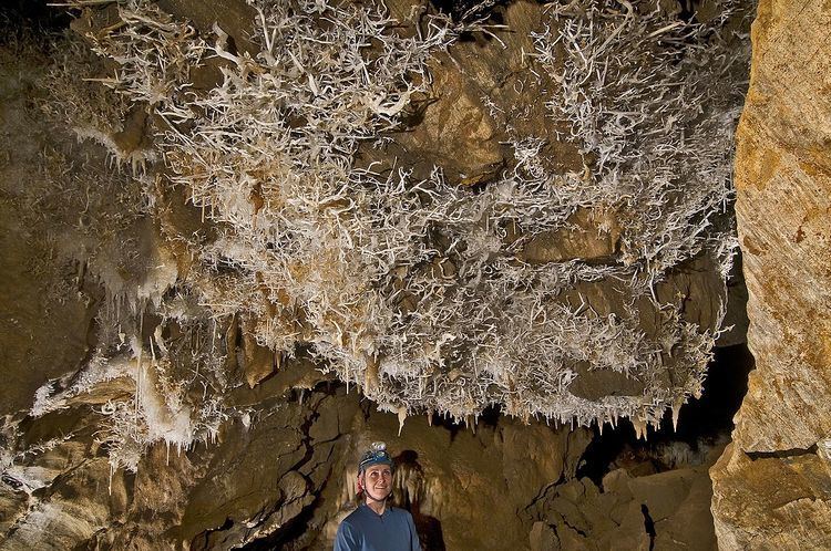 Black Chasm Cave Alchetron The Free Social Encyclopedia   Black Chasm Cave 545bf1e1 Fc40 4dd7 A8ff 5e7ab65087a Resize 750 