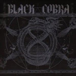 Black Cobra (band) httpslastfmimg2akamaizednetiu300x3007aaa