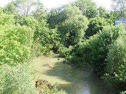 Black Creek (Toronto) httpsuploadwikimediaorgwikipediacommonsthu