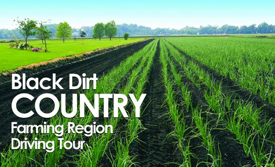 Black Dirt Region Black Dirt Country Farming Region Driving Tour Visit Orange