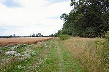 Black Ditches, Cavenham httpsuploadwikimediaorgwikipediacommonsthu