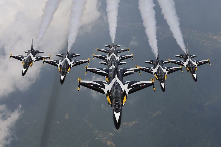 Black Eagles aerobatic team